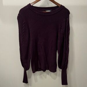 Express Women's Rich Purple Crew Neck Sweater